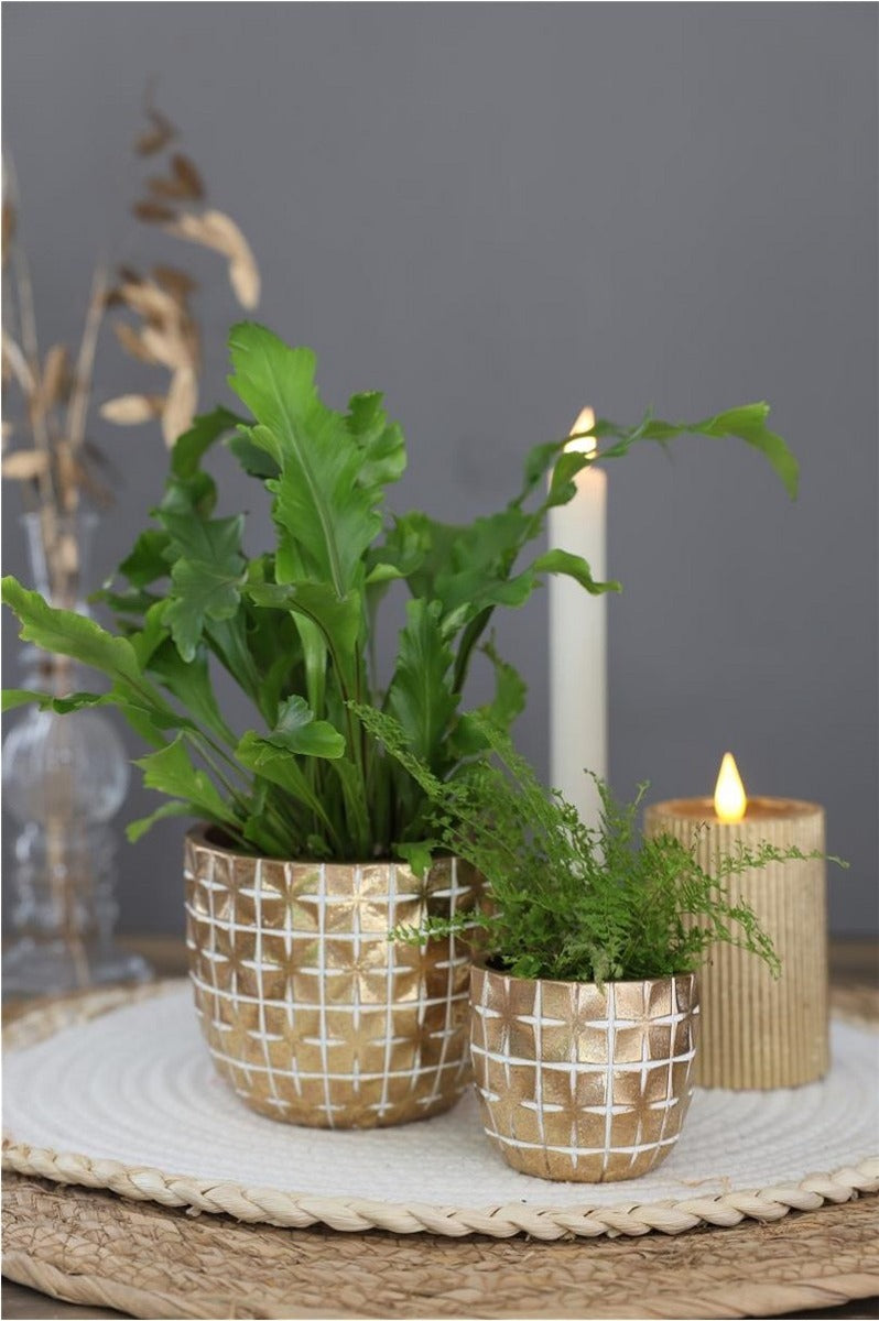 Hanoi pot Ø7,5 x h:6,4 cm Gold (6 Pcs) [IFS-33851]