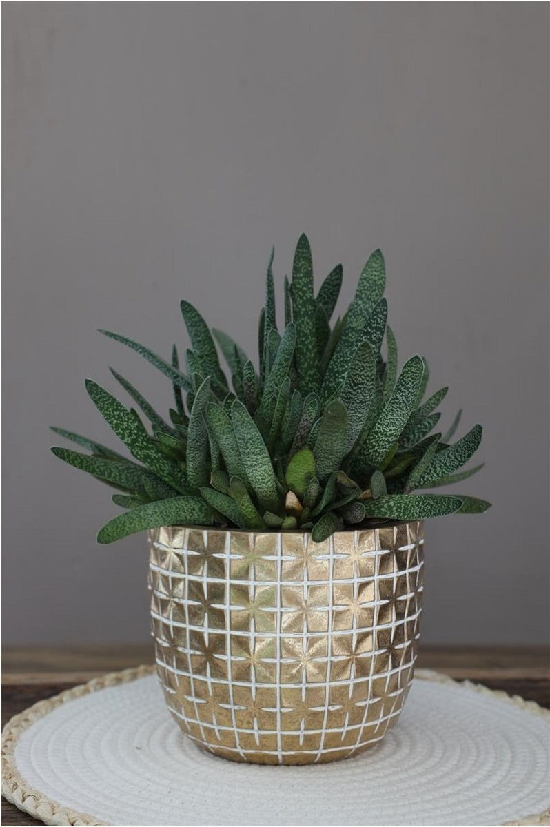 Hanoi pot Ø17,6 x h:14,4 cm Gold (3 Pcs) [IFS-33855]