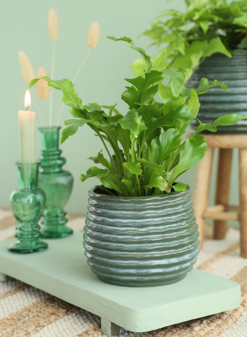 Pot Dark Green Rise Ø10 x h: 13,5 cm (6 Pcs) [IFS-33954]