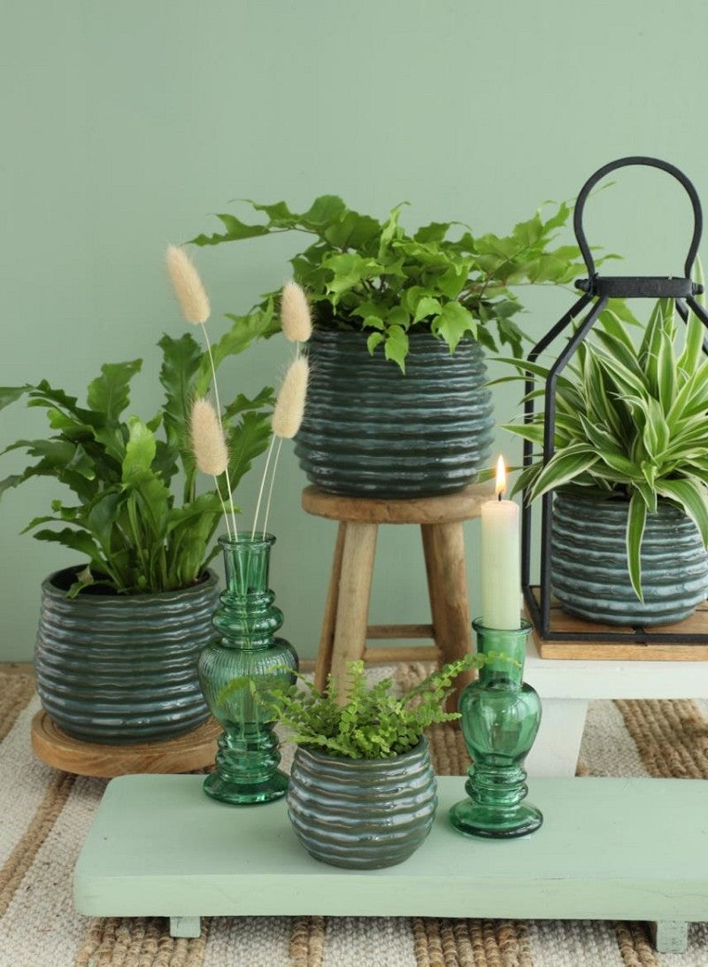 Pot Dark Green Rise Ø10 x h: 13,5 cm (6 Pcs) [IFS-33954]