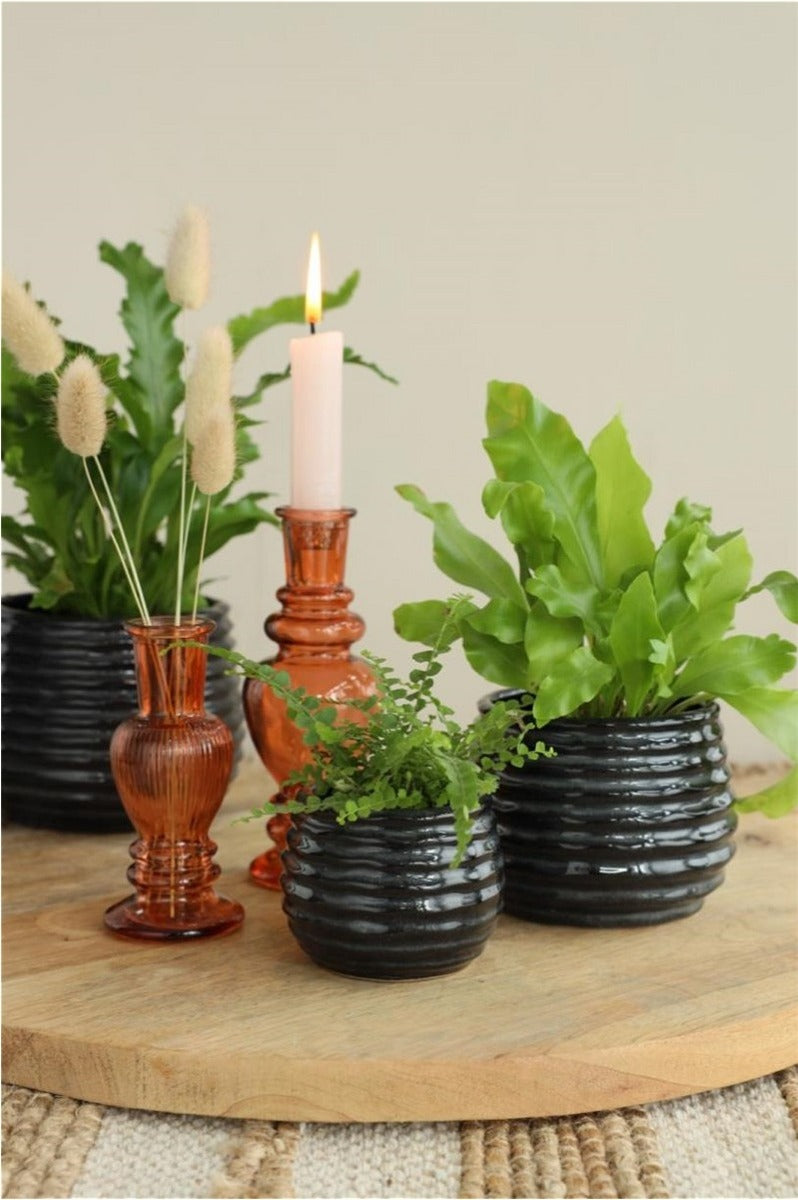 Pot Black Anthracite Rise Ø6,5 x h: 8 cm (12 Pcs) [IFS-33972]