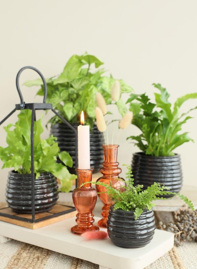 Pot Black Anthracite Rise Ø8,5 x h: 11,5 cm (9 Pcs) [IFS-33973]