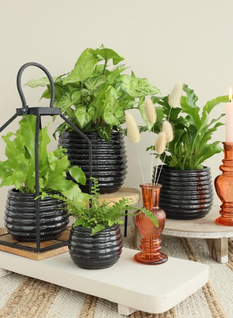 Pot Black Anthracite Rise Ø13 x h: 15,5 cm (4 Pcs) [IFS-33975]