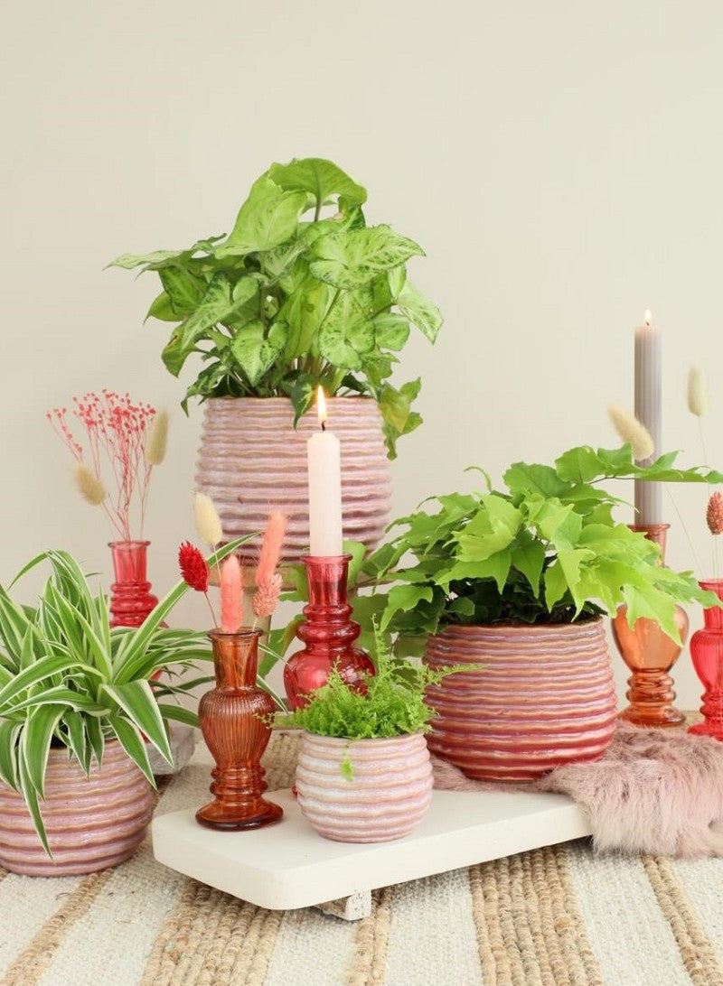 Pot Pink Carmine Rise Ø8,5 x h: 11,5 cm (9 Pcs) [IFS-33983]