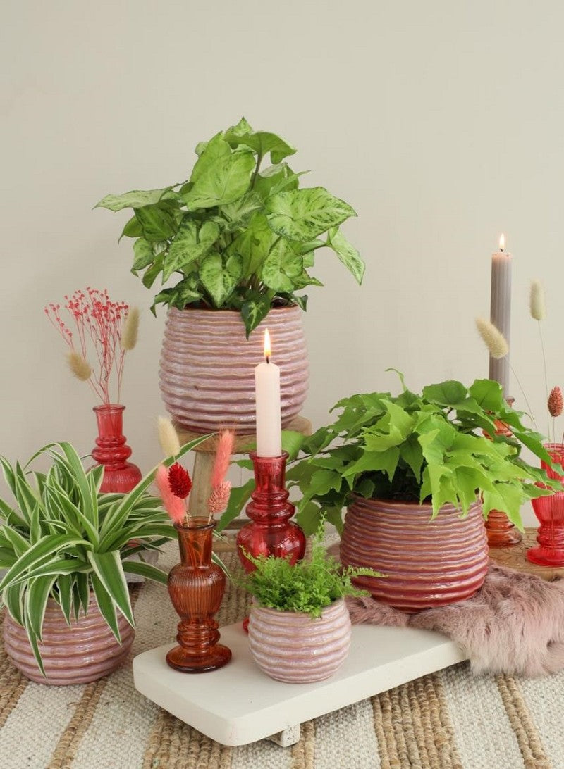 Pot Pink Carmine Rise Ø10 x h: 13,5 cm (6 Pcs) [IFS-33984]