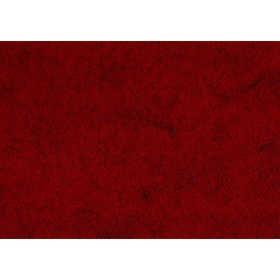 Craft felt, A4, sheet 210x297 mm, thickness 1,5-2 mm, textured, red, 10 sheet/ 1 pack [HOB-45523]
