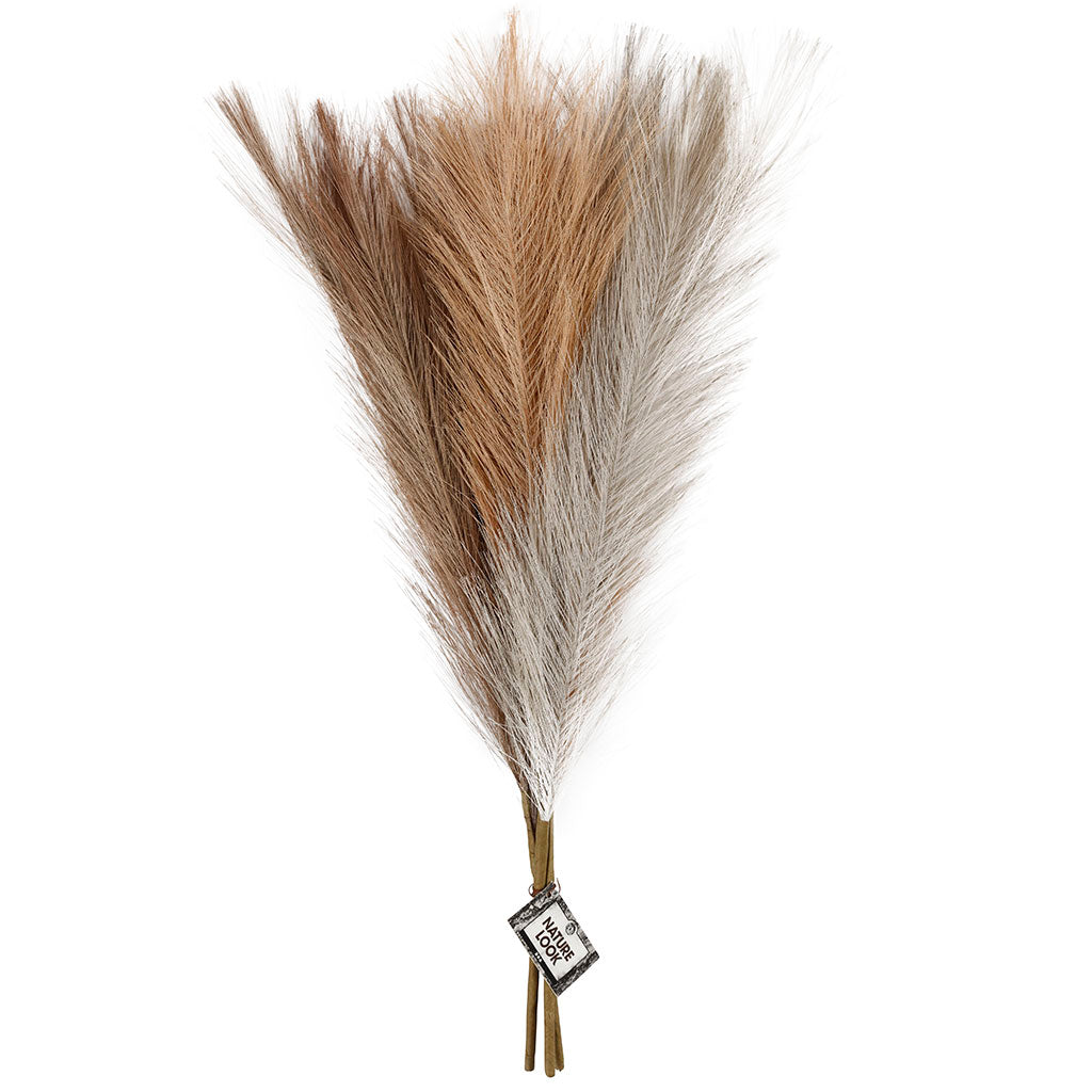 Pampas grass, L: 50 cm, light beige, light brown, light grey, 3 pc/ 1 bundle [HOB-50205]