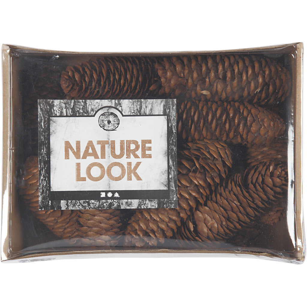 Abies Cone, dia. 40 mm, ca. 14 pc, 300 g/ 1 pack [HOB-50236]