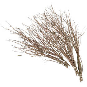 Birch Branches, L: 50-60 cm, 20 pc/ 1 pack [HOB-50240]