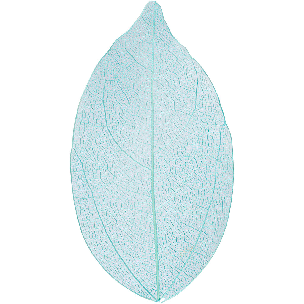 Skeleton Leaves, L: 6-8 cm, light blue, 20 pc/ 1 pack [HOB-504498]