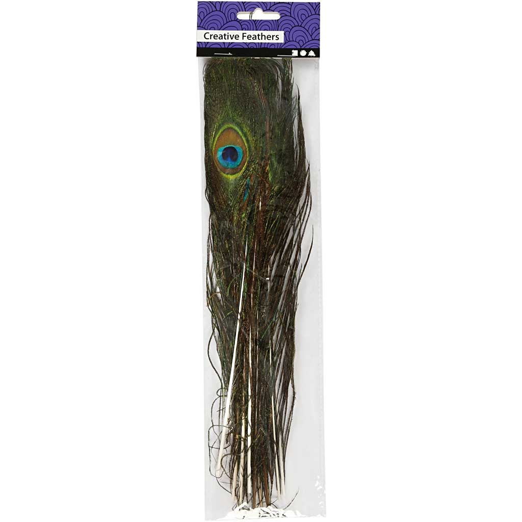 Peacock feathers, L: 25-30 cm, 10 pc/ 1 pack [HOB-51810]