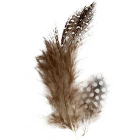 Guinea fowl feathers, ca. 100 pc, brown, 3 g/ 1 pack [HOB-51812]