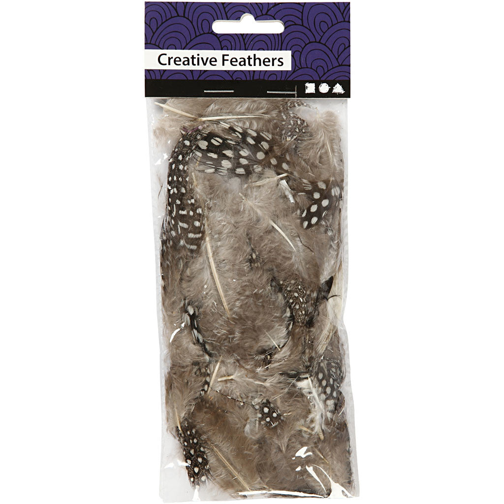 Guinea fowl feathers, ca. 100 pc, brown, 3 g/ 1 pack [HOB-51812]