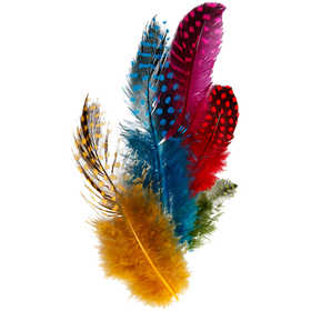 Guinea fowl feathers, assorted colours, 3g/ 1 pack [HOB-51813]