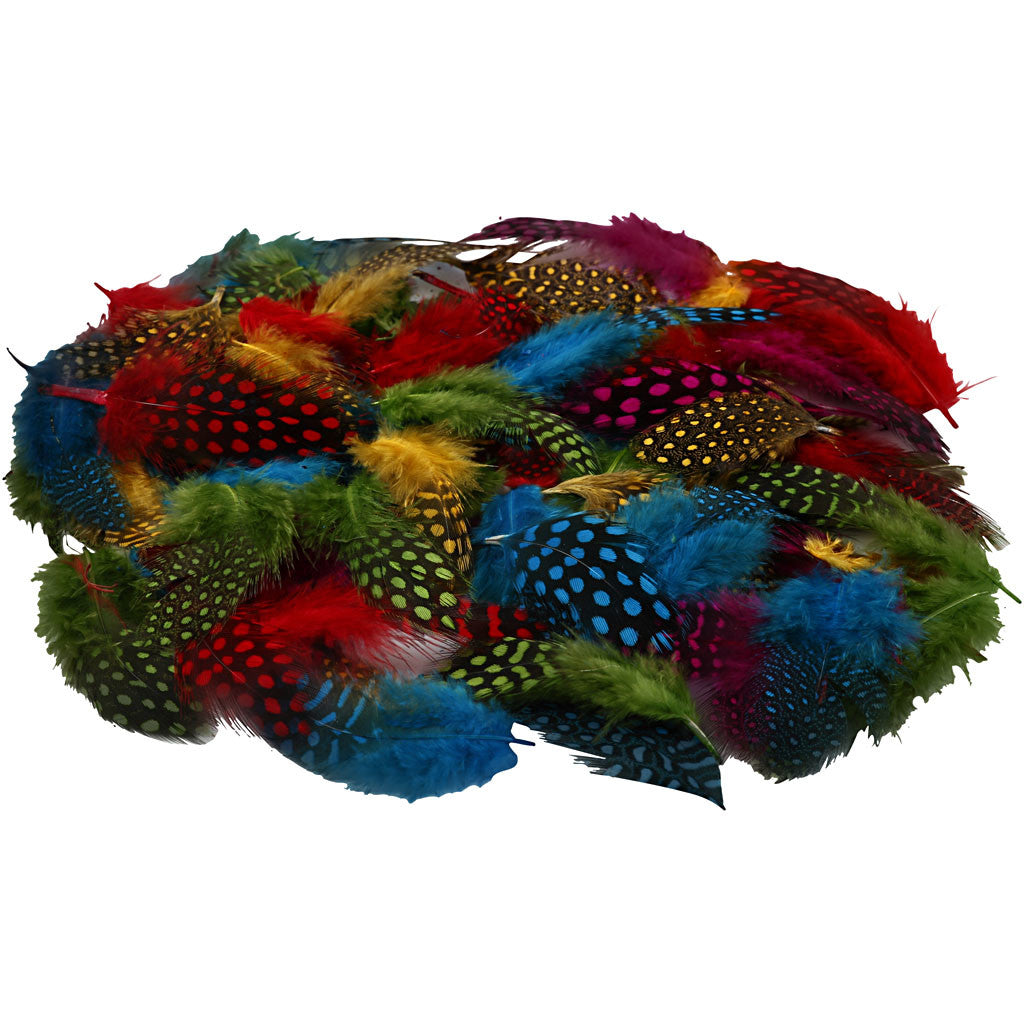Guinea fowl feathers, assorted colours, 3g/ 1 pack [HOB-51813]