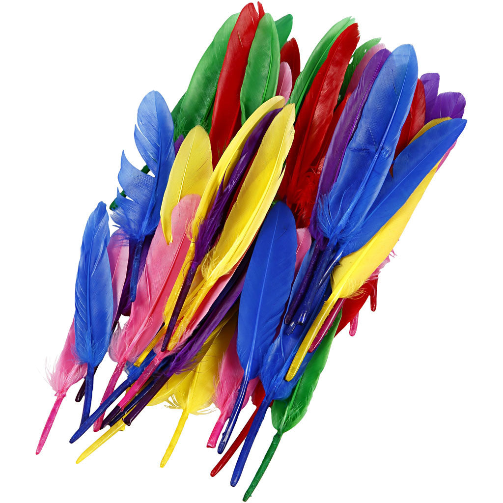 Feathers, L: 13 cm, assorted colours, 48 pc/ 1 pack [HOB-51817]
