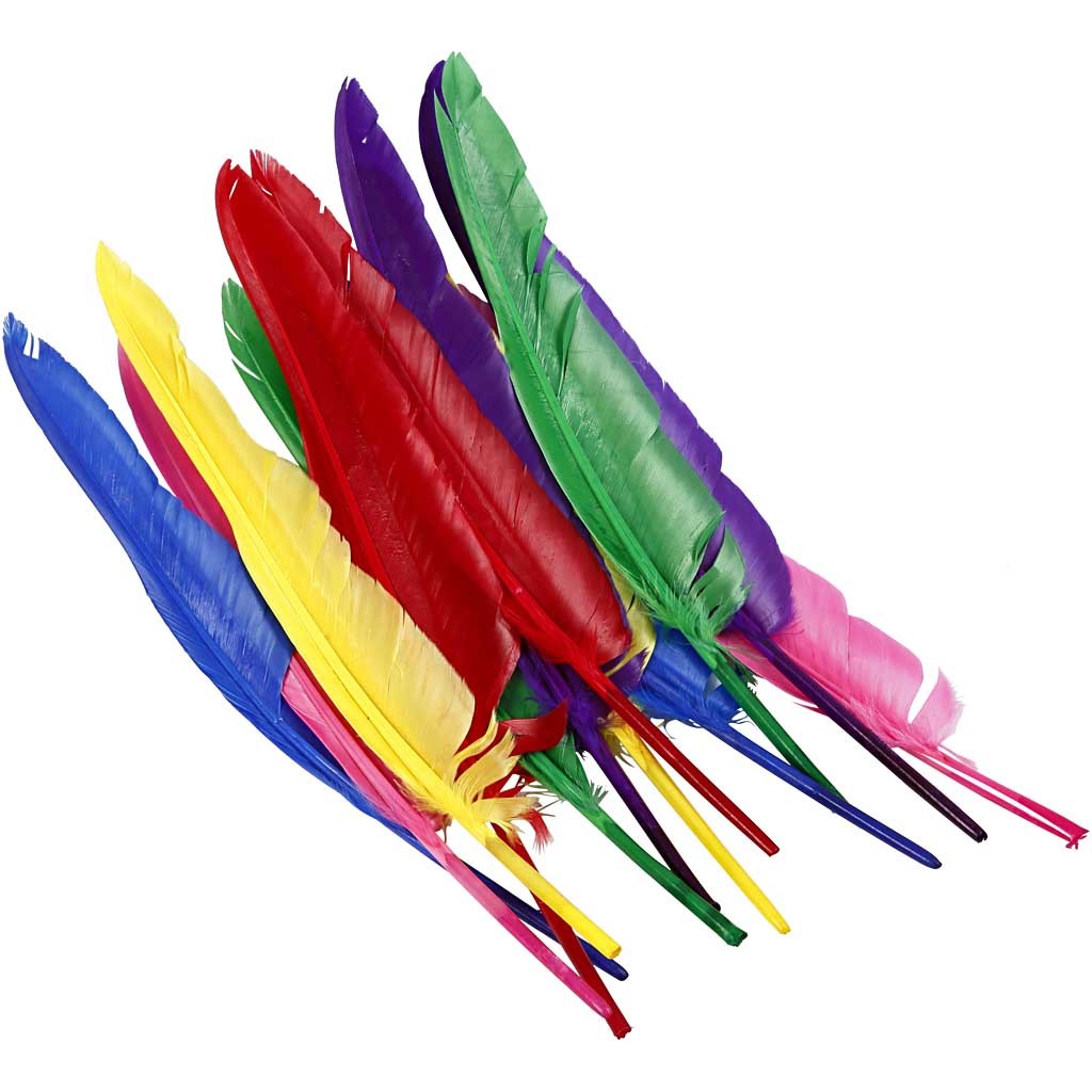 Feathers, L: 27 cm, assorted colours, 12 pc/ 1 pack [HOB-51819]