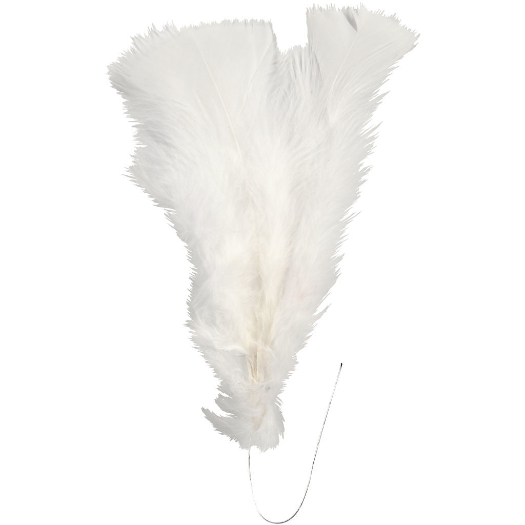 Feathers, L: 11-17 cm, white, 18 bundle/ 1 pack [HOB-51847]