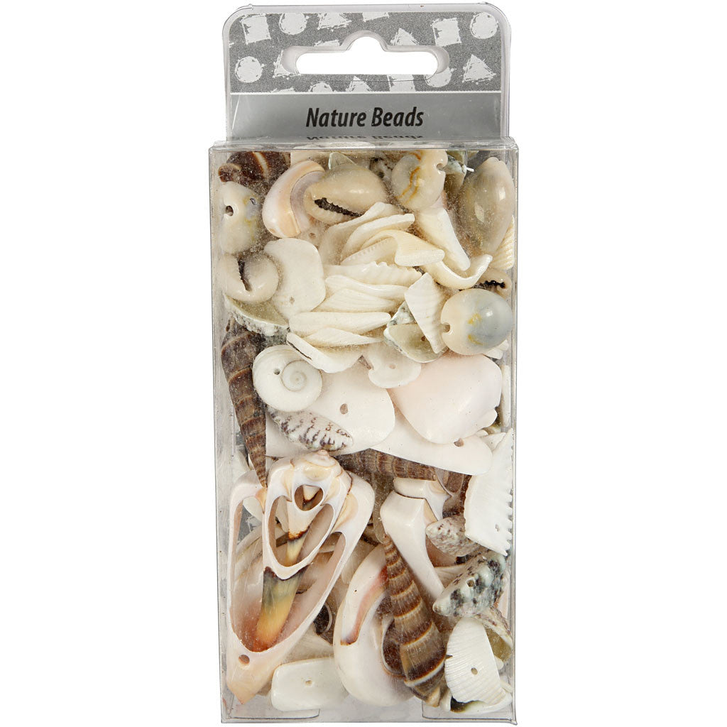 Beach Shells, size 9-40 mm, hole size 1-1,5 mm, 120 g/ 1 pack [HOB-631881]