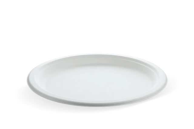 Plate Sugarcane Ø26cm (500 pcs) [TK-9988104]