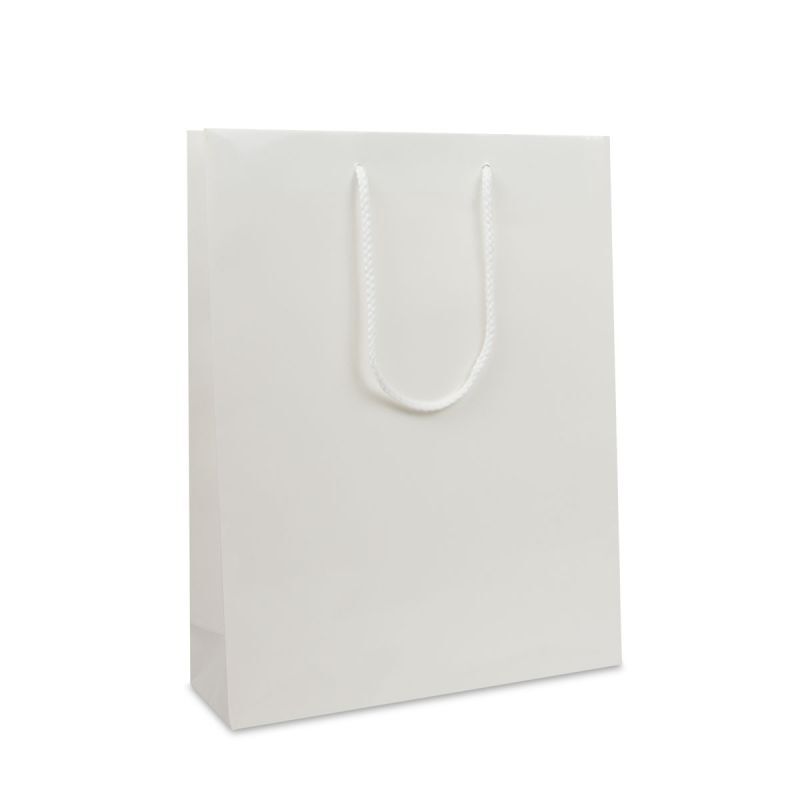 Glossy Carrier Bags 31+10x40cm White (100 pcs) [FP-DPK016]
