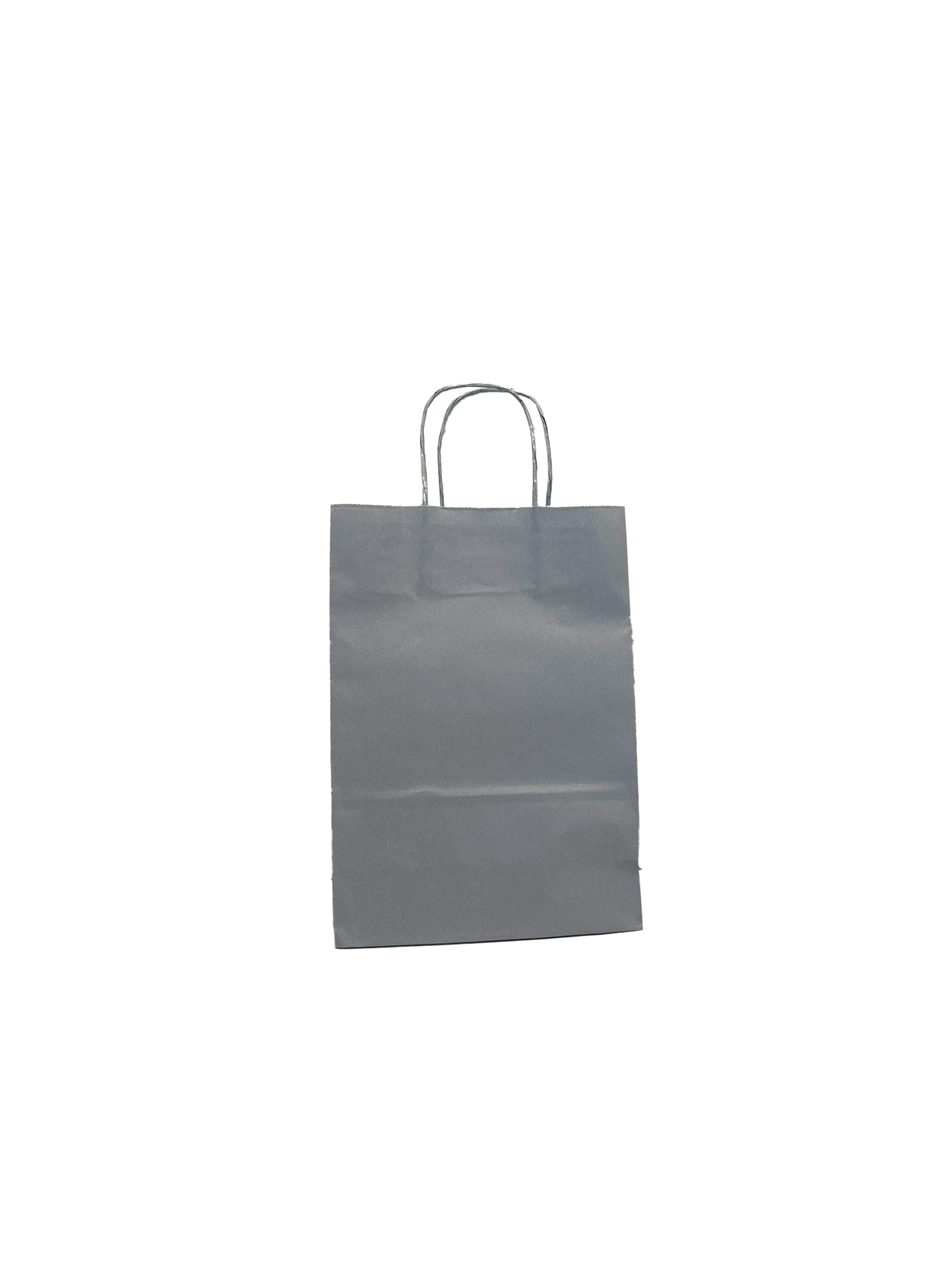 Paper Carrier Bags Silver 22+10x31cm Kraft 90 grams (50 pieces) [PAM2231SI]