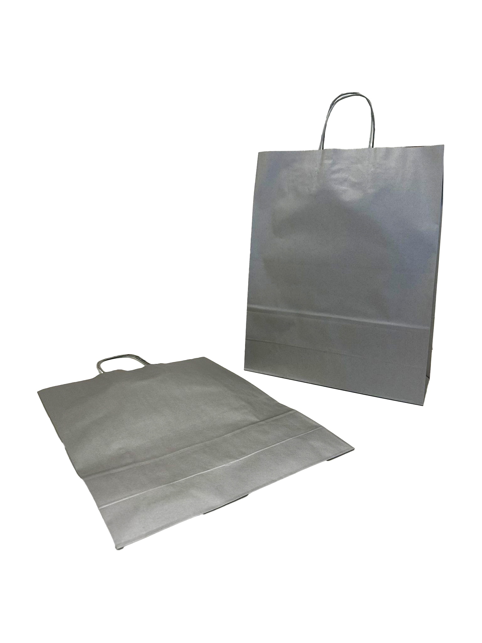 Paper Carrier Bags Silver 32+12x41cm Kraft 100 grams (50 pieces) [PAM3241SI]
