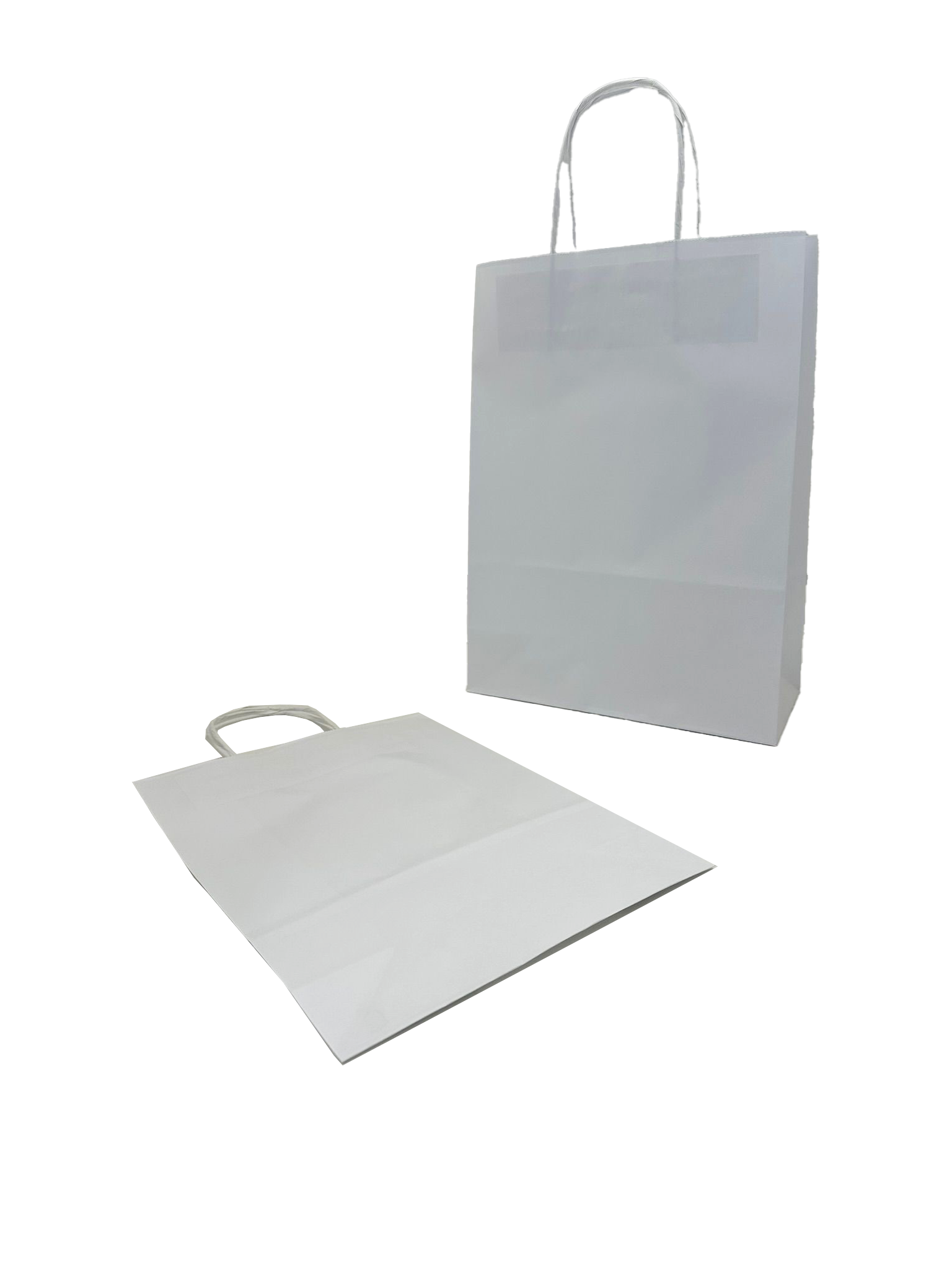 Paper Carrier Bags White 22x10x31cm Kraft 90 g/gm with twisted handles (50 pieces) [PAMW2231]