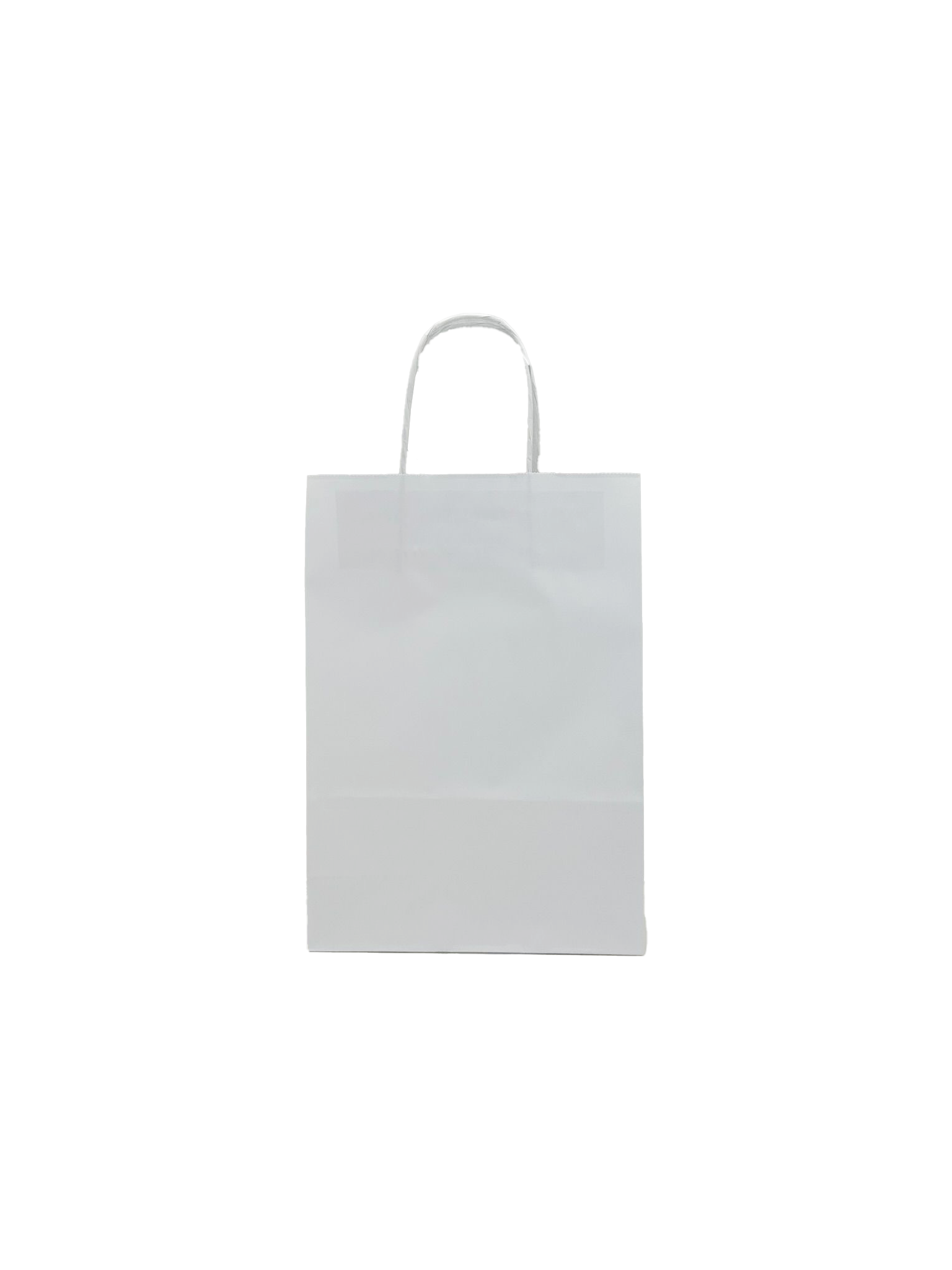 Paper Carrier Bags White 22x10x31cm Kraft 90 g/gm with twisted handles (50 pieces) [PAMW2231]