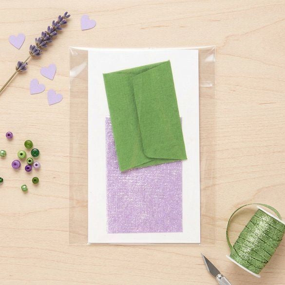 Plastic Bags 4.6x7.9cm Transparent (100 pieces) [B1H3NF]