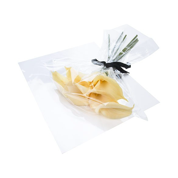 Plastic Bags 51.9x62cm Transparent (100 pieces) [B20NF]