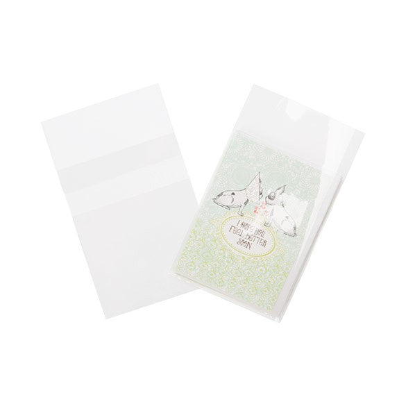 Plastic Bags 7.5x9.5cm Transparent Peel and Seal (100 pieces) [B2XLPC]
