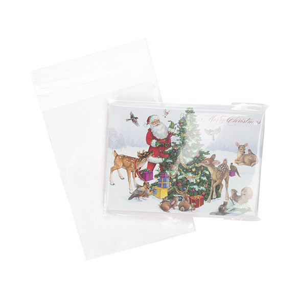 Plastic Bags 10x13.3cm Transparent Peel and Seal (100 pieces) [B3H5]
