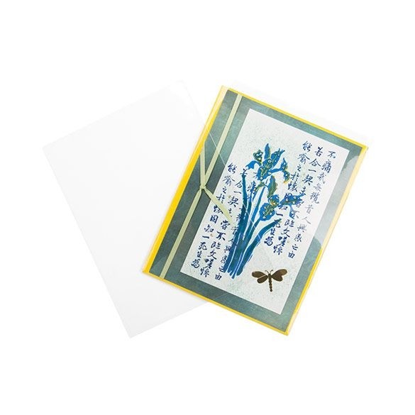 Plastic Bags 11x14.5cm Transparent (100 pieces) [B4B5NF]