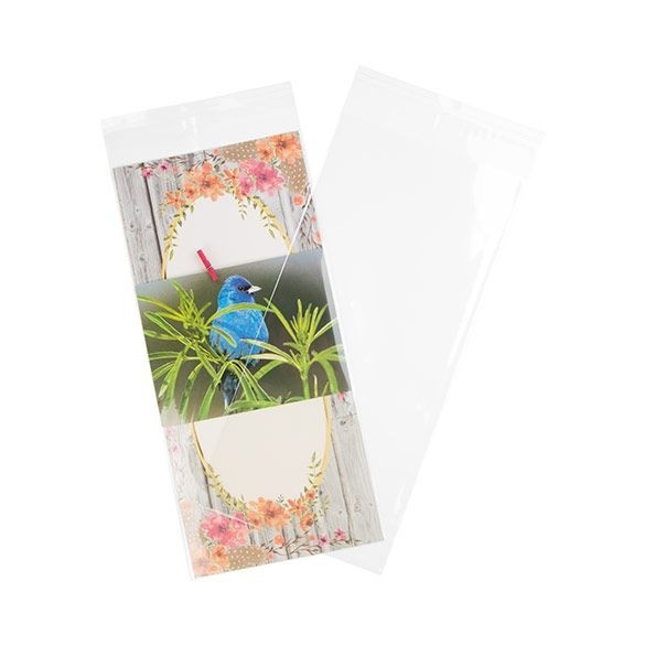 Plastic Bags 14.5x30.6cm Transparent Peel and Seal (100 pieces) [B512]