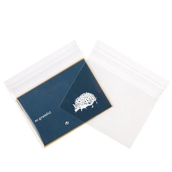 Plastic Bags 13.5x9.2cm Transparent Peel and Seal (100 pieces) [B53XL]