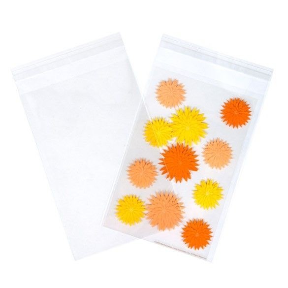 Plastic Bags 14.5x21.8cm Transparent Peel and Seal (100 pieces) [B59S]