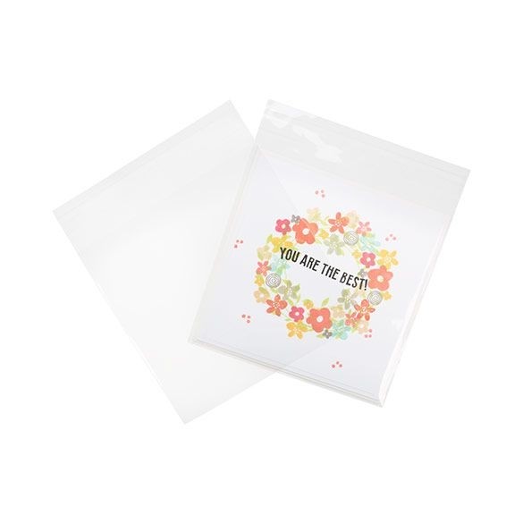 Plastic Bags 15x15cm Transparent Peel and Seal (100 pieces) [B5X5XL]