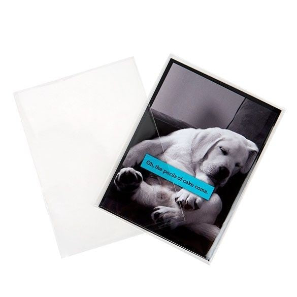 Plastic Bags 12.5x17 cm Transparent (100 pieces) [B65NF]