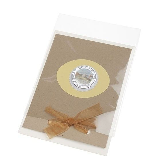 Plastic Bags 12.5x17 cm Transparent (100 pieces) [B65NF]