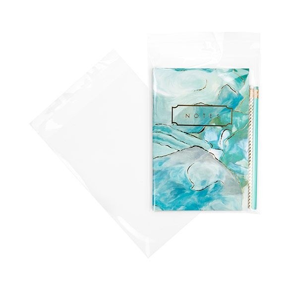 Plastic Bags 17.5x24.1cm Transparent Peel and Seal (100 pieces) [B69XL]