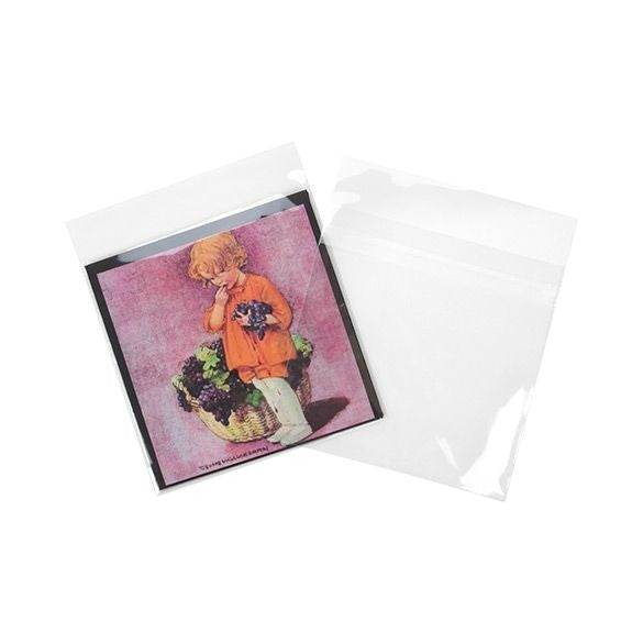 Plastic Bags 17x16.7cm Transparent Peel and Seal (100 pieces) [B6X6MPC]