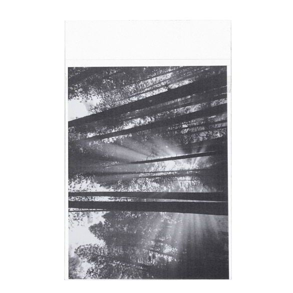 Plastic Bags 13.8x19.1cm Transparent Peel and Seal (100 pieces) [B57PC]