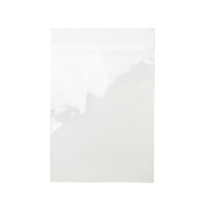 Plastic Bags 25.2x33.7cm with Protective Closure (100 pieces) [B913XPC]