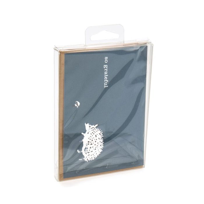 Plastic Gift Boxes 9.6x1.6x13.2cm Crystal Clear with Hanger in middle (25 pieces) [CHFB10]