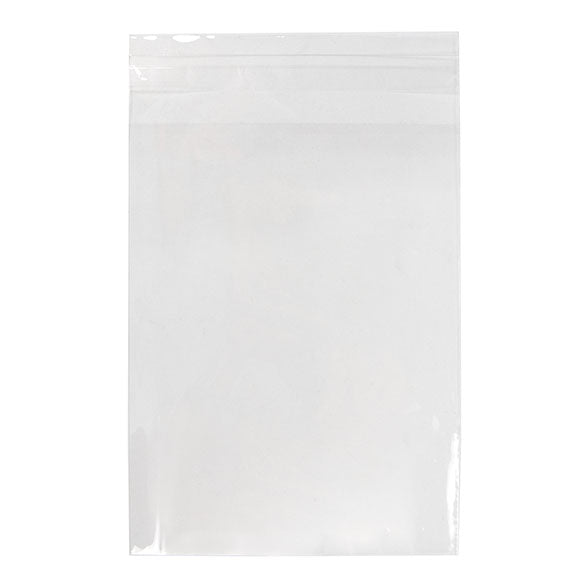 ECO-friendly Bags 12.5x16.5cm Premium Quality (100 pieces) [GC65]
