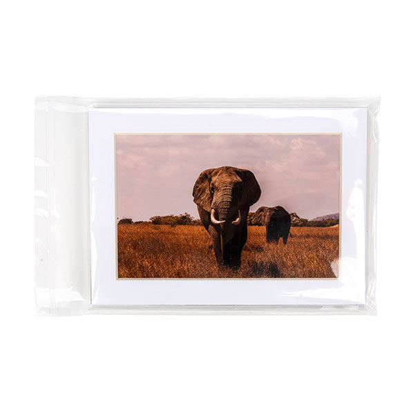 ECO-friendly Bags 14.4x19.1cm Premium Quality (100 pieces) [GC7B1]