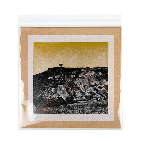 Plastic Bags 31.6x31.1cm Transparent Peel and Seal(250 pieces) [VL12X12]
