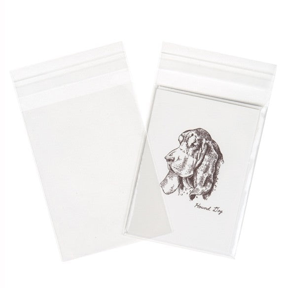 Plastic Bags 9.5x13+4cm Crystal Clear and Reclosable (100 pieces) [B3X5]