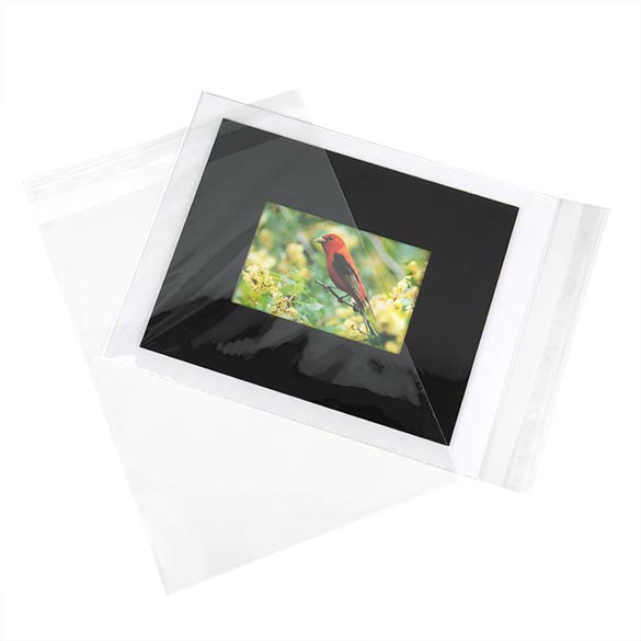 Plastic Bags 24x31.9cm Transparent Peel and Seal(250 pieces) [VL9]